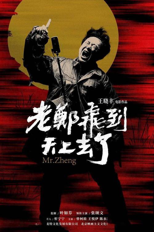 代办仿真光大银行流水账单样子/图片